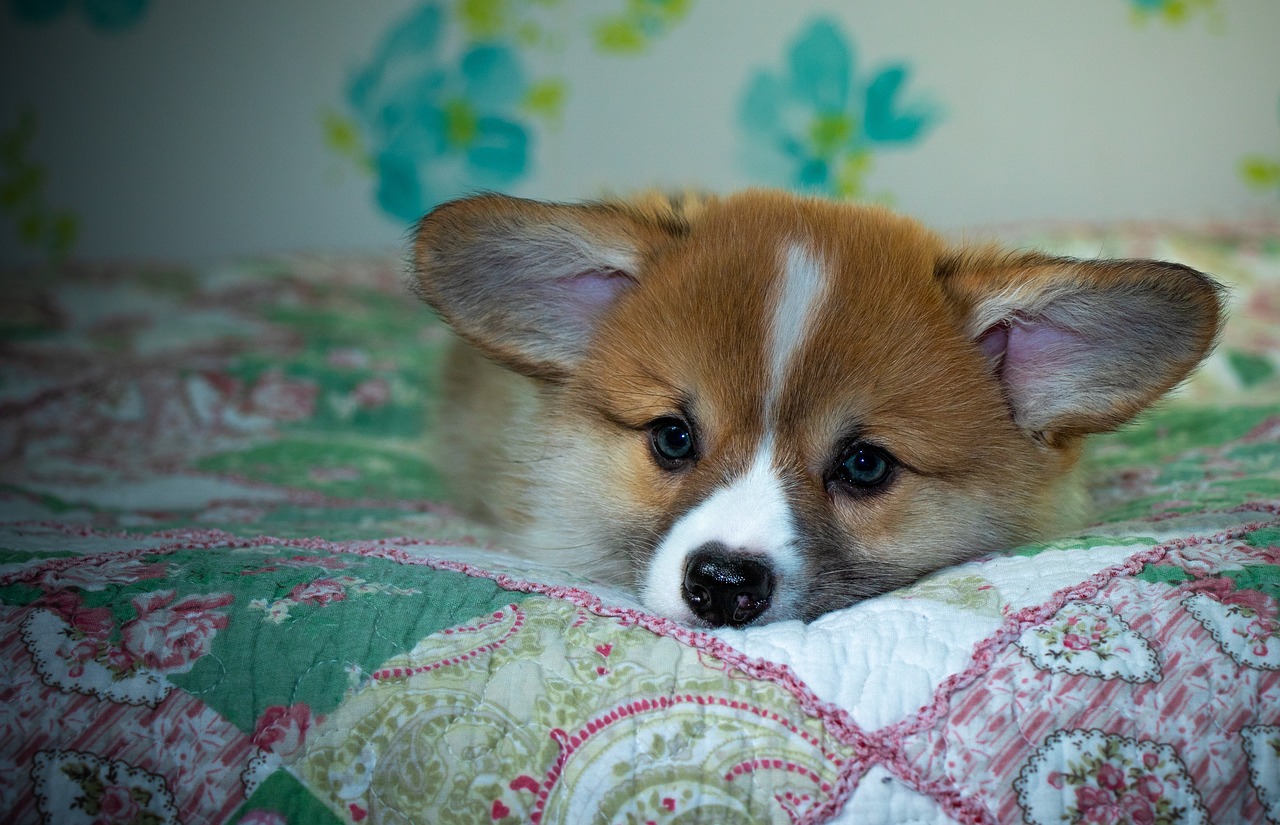 99exch Review: In‑Depth Analysis of India’s Premier Currency Exchange Platform